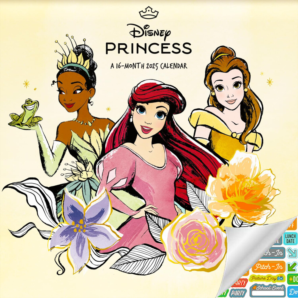 Amazon Disney Princess Calendar 2025 Deluxe 2025 Princesses Mini 