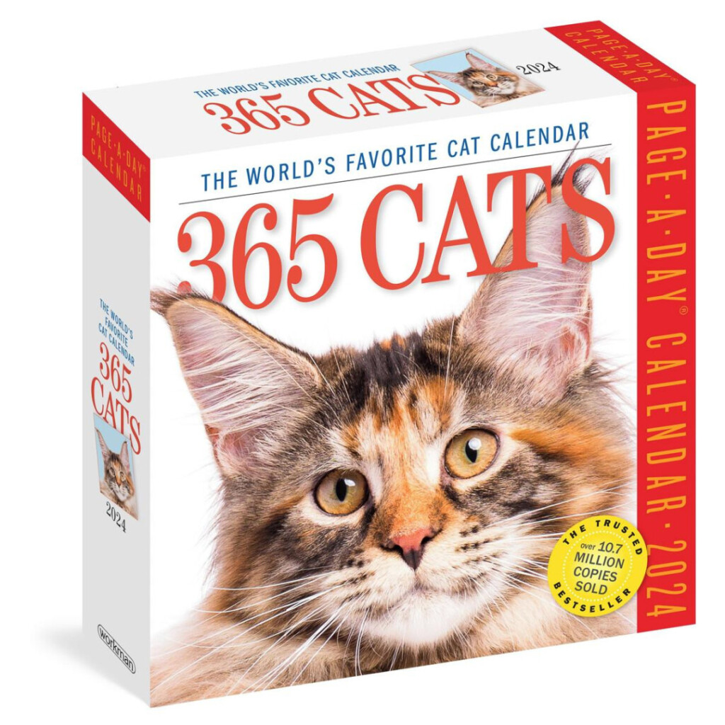 Cat Calendar Contest 2024 Good Calendar Idea