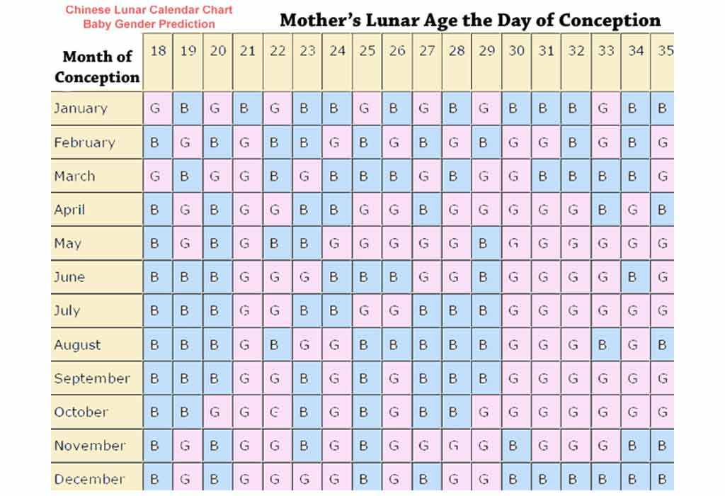 Chinese Calendar 2025 For Baby Caleb V Zepps