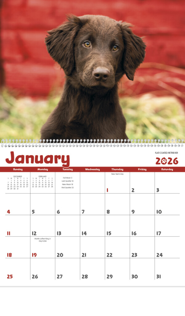 Puppystore 2025 Calendar Victor F Simonsen