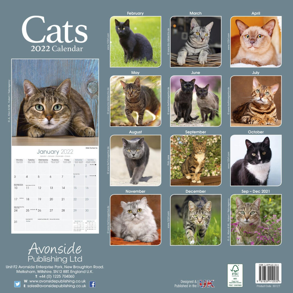The Paw Print Calendar 2025 Noah S Danielsen