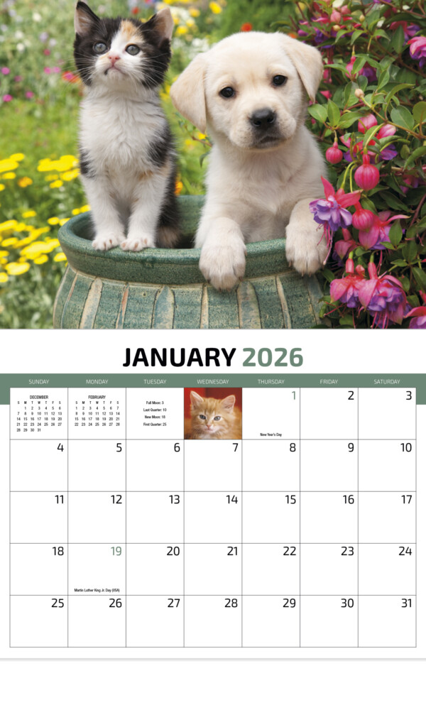 The Paw Print Calendar 2025 Release Date Alex Cubadgee M 